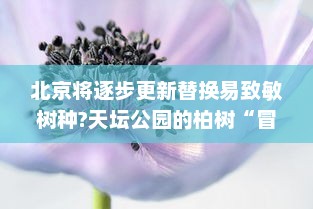 北京将逐步更新替换易致敏树种?天坛公园的柏树“冒烟”了！北京：逐步更换易致敏树种