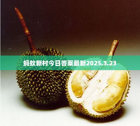 蚂蚁新村今日答案最新2025.3.23