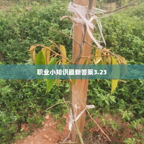 职业小知识最新答案3.23