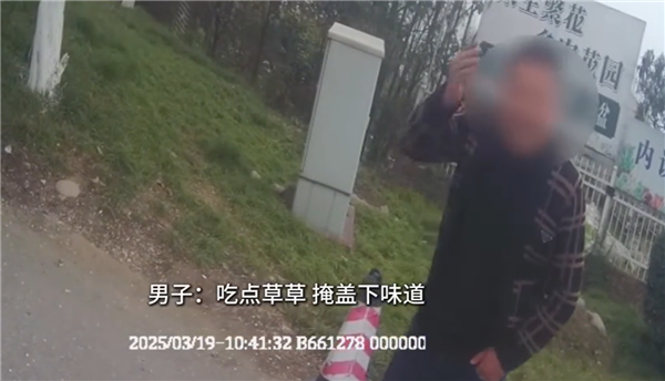男子酒驾被查现场吃草逃避检测，交警如何应对？