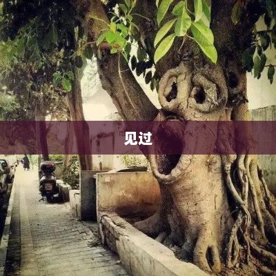 刘雨欣演绎全新版华妃，无限超越班的艺员之旅