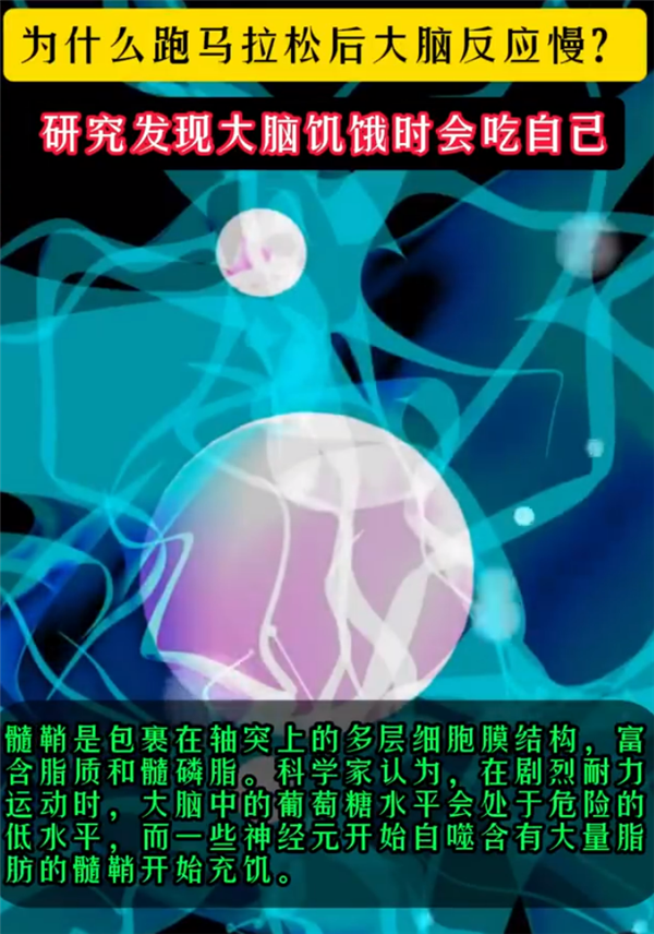 跑马拉松的注意了！研究发现：过度消耗 大脑饥饿了会吃自己