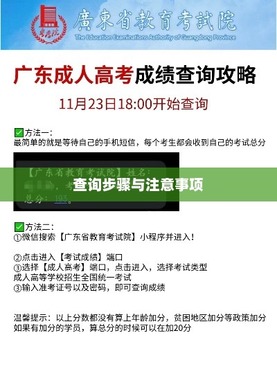 广东高考分数查询指南，详细步骤与注意事项