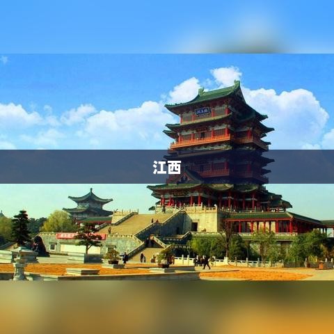 江西公积金中心光缆三次遭挖断，业务办理受重大影响