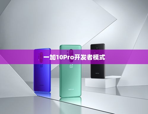 一加10Pro开发者模式详细入门指南