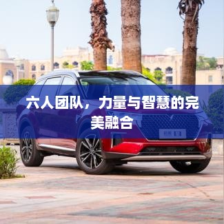 六人团队，力量与智慧的完美融合