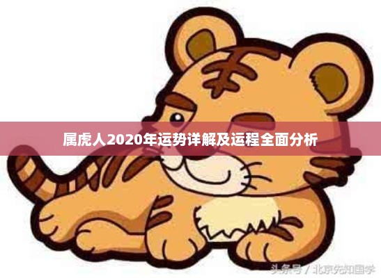 属虎人2020年运势详解及运程全面分析