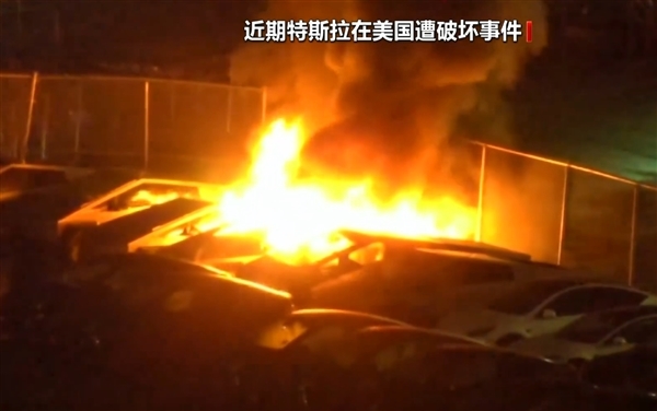 多地反特斯拉风暴愈演愈烈，马斯克揭示DOGE代价背后的真相