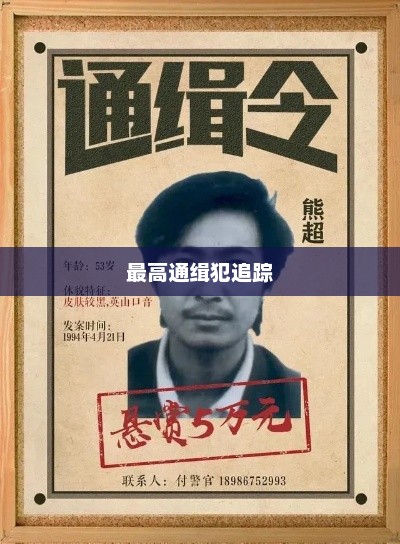 迷雾中的追捕，探寻真相的最高通缉犯追踪记
