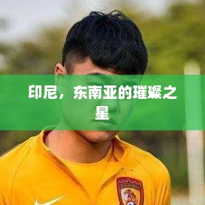 印尼，东南亚的璀璨之星