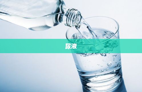 尿，生命之水的神秘面纱与重要性揭秘