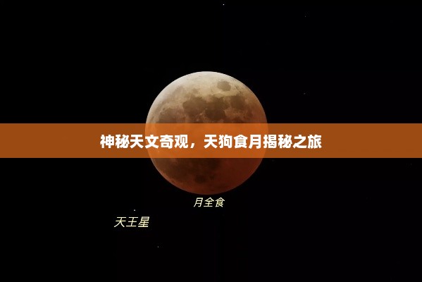 神秘天文奇观，天狗食月揭秘之旅