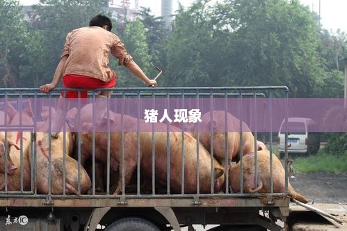 广州发现神秘猪人现象，探寻真相背后的故事