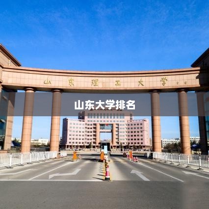山东大学排名一览表
