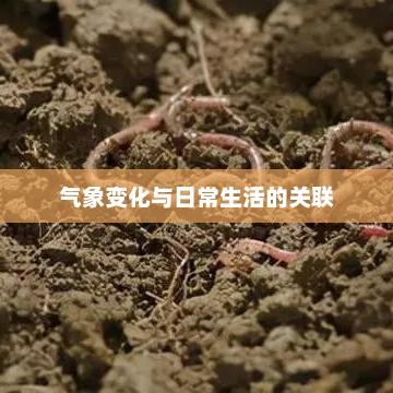 浙江无锡天气预报，气象变化与日常生活的紧密关联