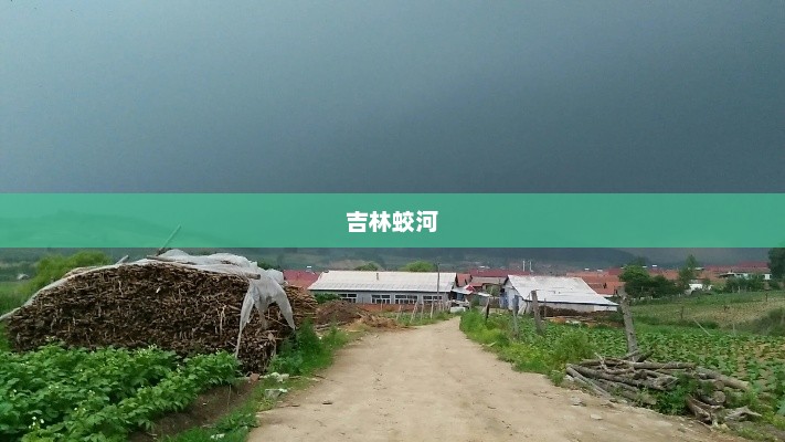 吉林蛟河未来24小时天气预报概览