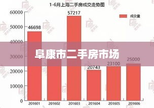 阜康市二手房市场概览与趋势分析