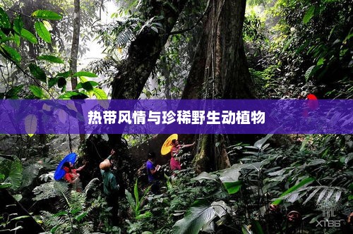 西双版纳必游胜地，热带风情与珍稀野生动植物的天堂介绍