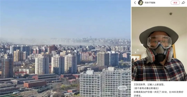 北京圆柏花粉引发争议，能否砍伐解决？