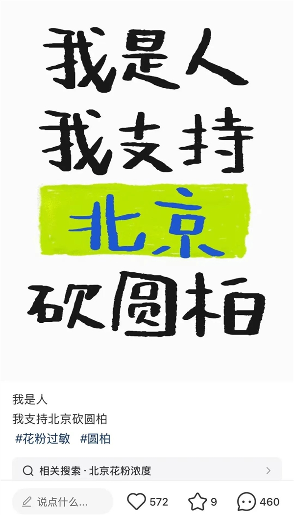 北京圆柏花粉遮天蔽日：能不能把树砍了