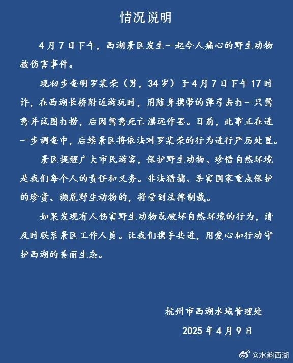 34岁男子用弹弓射杀西湖鸳鸯还欲捕捞 官方通报：严惩！