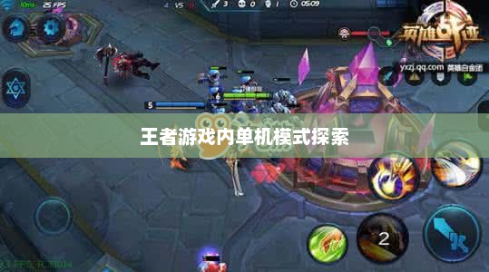 王者游戏，深入解析单机模式体验