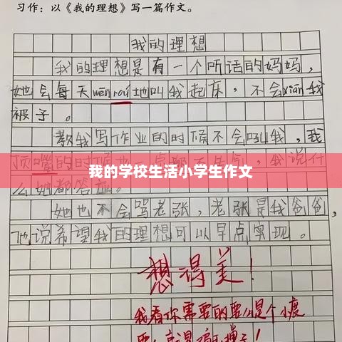 难忘的六年，我在小学中的点点滴滴