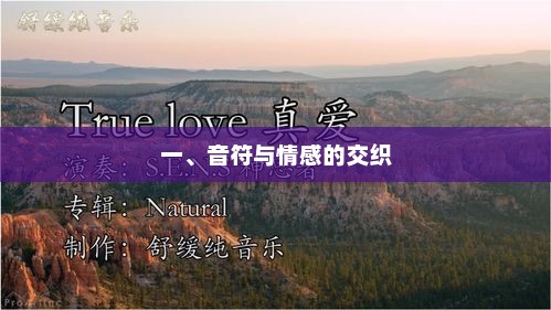 旋律中的情感，音乐与情感的深层关联