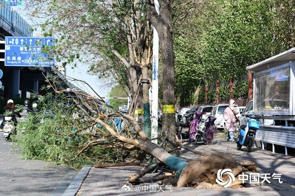 全国观测站持续大风，风力纪录、预计持续时间及影响分析