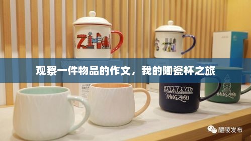陶瓷杯的艺术探索，细节观察与深度体验