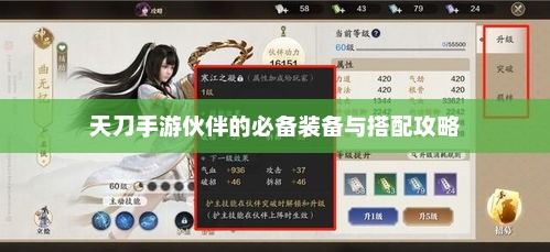 天刀手游伙伴装备搭配指南，全面提升战斗力的策略解析