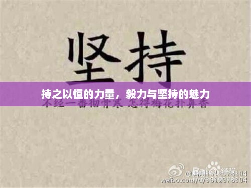 持之以恒的力量，毅力与坚持的魅力