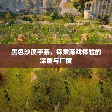 黑色沙漠手游，深度与广度并重的冒险之旅