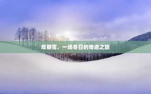冬日雪景中的自然奇观探索