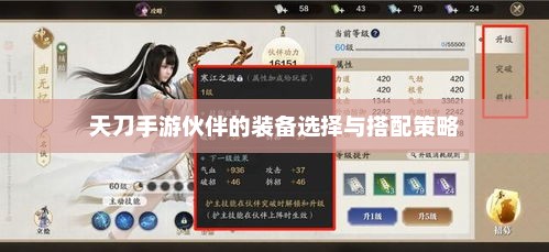 如何在天刀手游中合理选择和搭配伙伴装备？