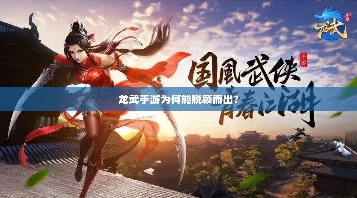龙武手游，揭秘成功背后的秘密