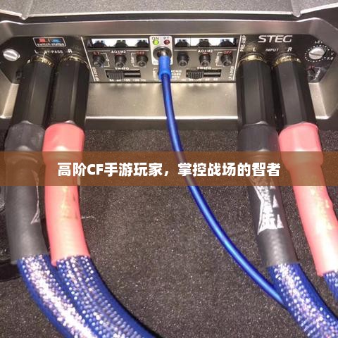 超越新手到高手，高阶CF手游玩家的荣耀之路