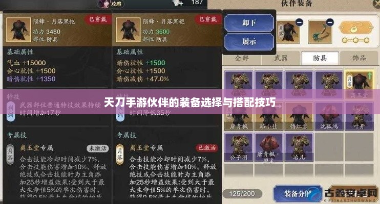 天刀手游，最佳伙伴装备选择与搭配技巧