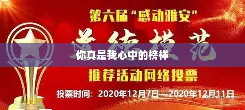 追寻心中的光辉，你，我心中的楷模与榜样