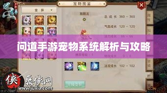 问道手游宠物系统全面解析与养成技巧分享