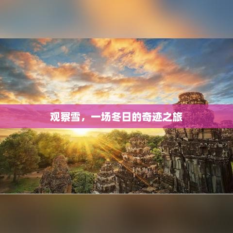 冬日雪景，一场视觉与心灵的奇幻旅程
