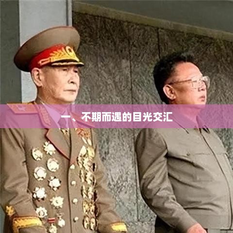 瞬间凝视，捕捉人生中的偶遇之美
