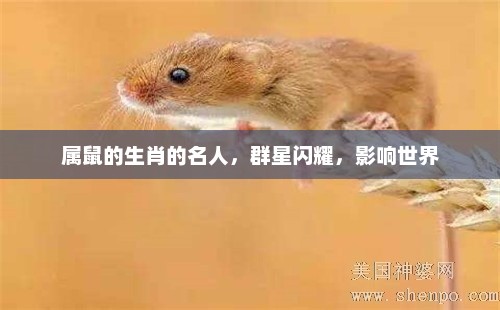 属鼠名人群星闪耀，影响世界格局