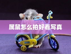 属鼠如何拍出好看的写真艺术照？