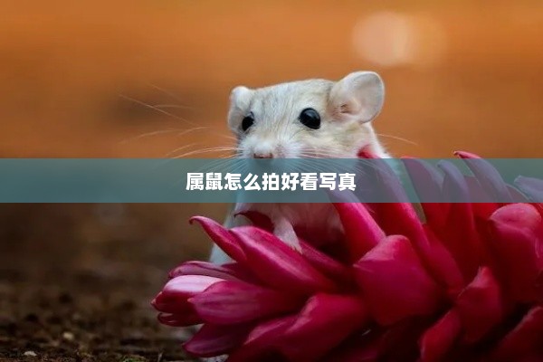 属鼠如何拍出好看的写真艺术照？