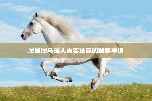 属鼠属马的人需要注意的禁忌事项 属鼠属马的人需要注意的禁忌事项