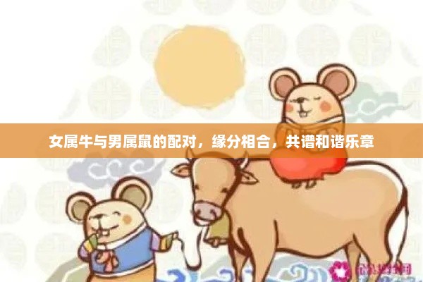 女属牛与男属鼠的配对，缘分相合，共谱和谐乐章