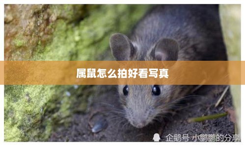 属鼠如何拍出好看的写真艺术照？