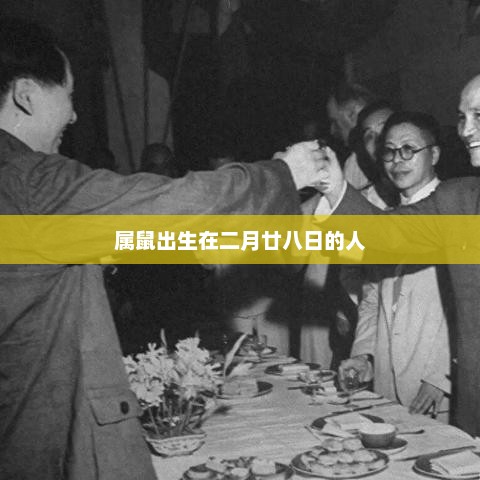 二月廿八日出生属鼠人的命运解析