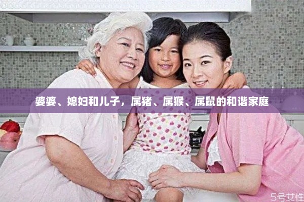 和谐家庭的温馨故事，属猪婆婆、属猴媳妇与属鼠儿子的幸福生活